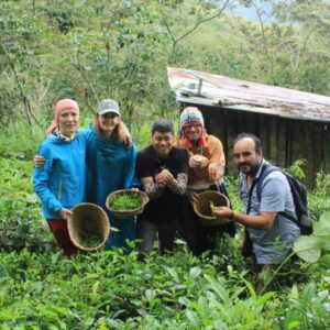 Tour del Té
