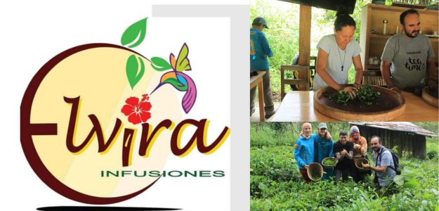 Elvira Infusiones
