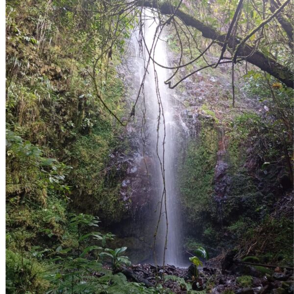 Catarata de Mandor - Imagen 4