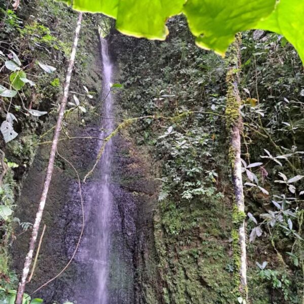 Catarata de Mandor - Imagen 7