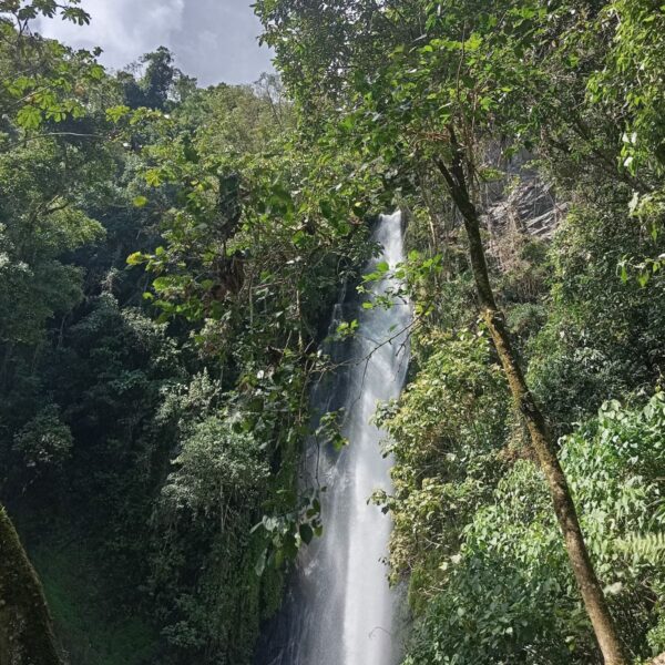 Catarata de Pasto Grande