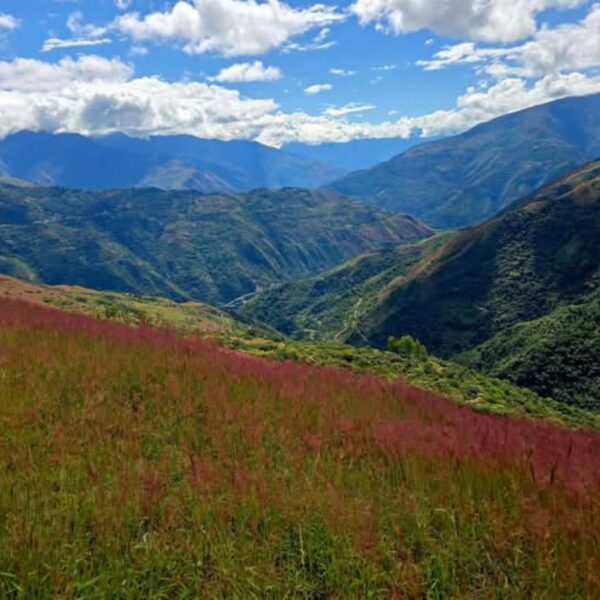 Inca carcel - Imagen 5