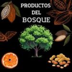 Productos del Bosque